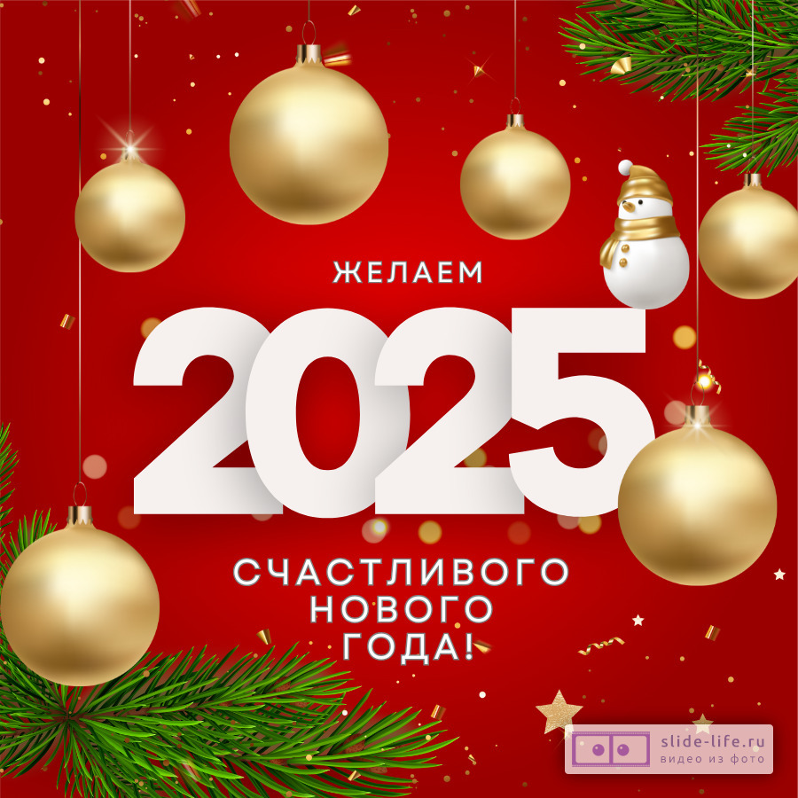 С Новым 2025 годом!